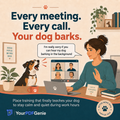 Train Your Dog to Behave While You WFH. See Improvement in Less Than A Month
